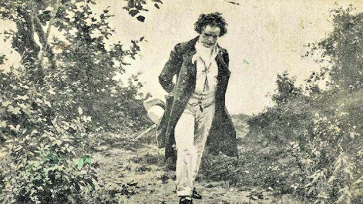 Una vida per la música