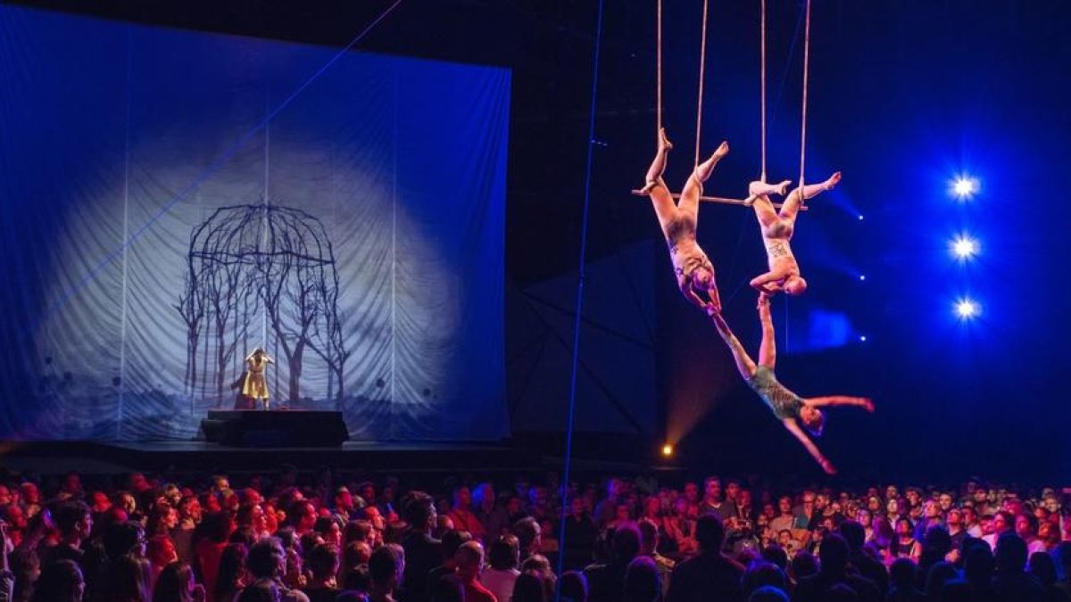 El Cirque du Solei i l'ADN caní, als set tuits