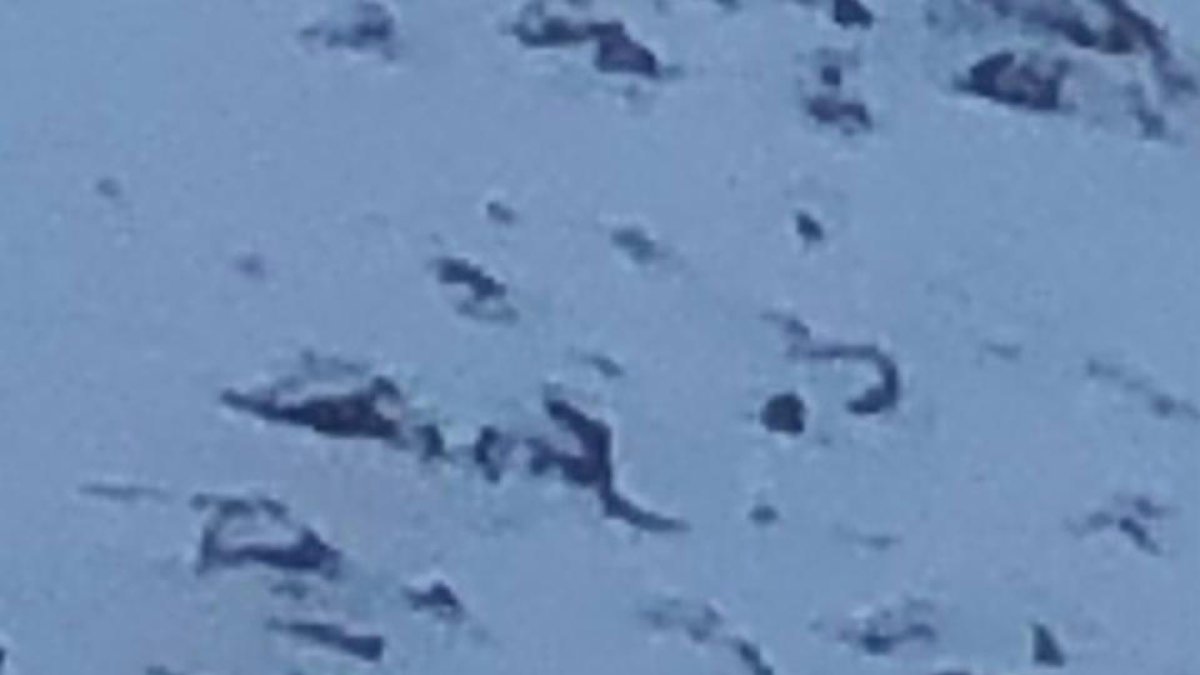 La pandèmia incita al contraban de tabac al Pas