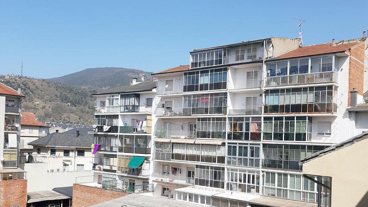 Cau al buit a la Seu en intentar recuperar el gat que s'havia escapat