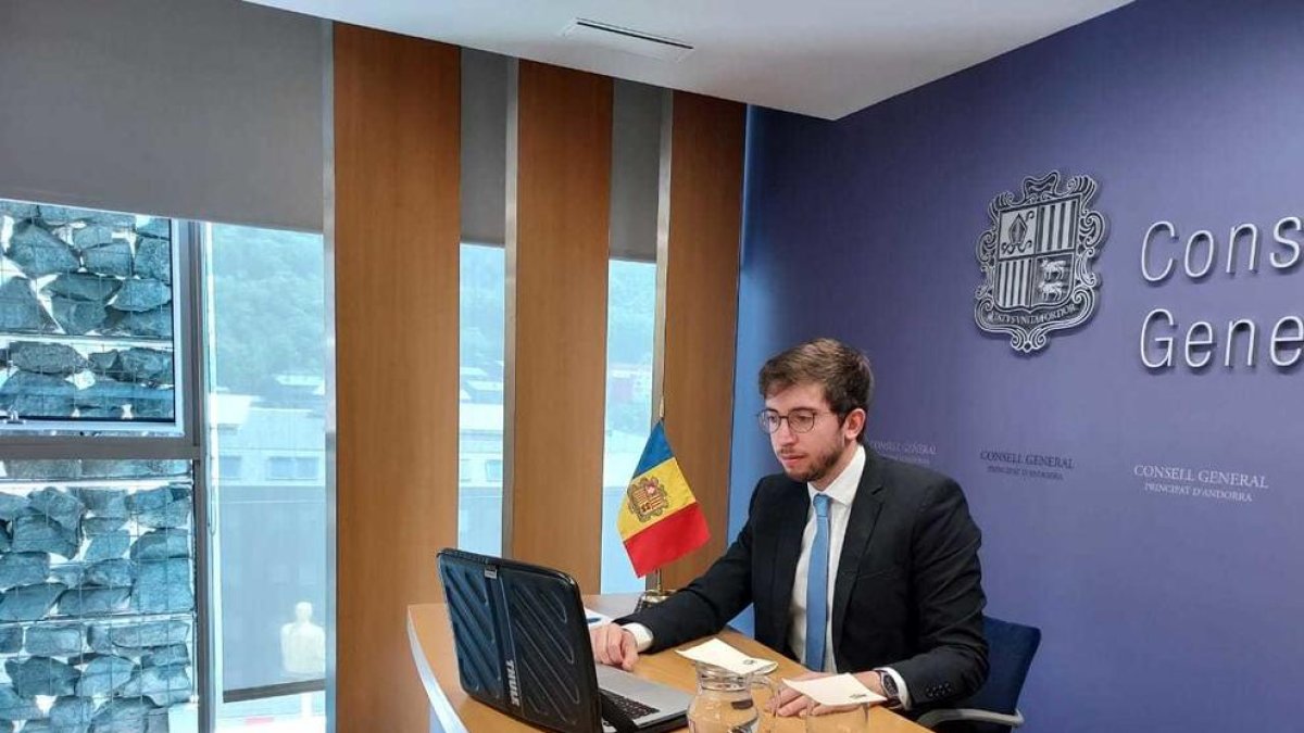 El conseller general, Roger Padreny, durant la seva intervenció telemàtica.