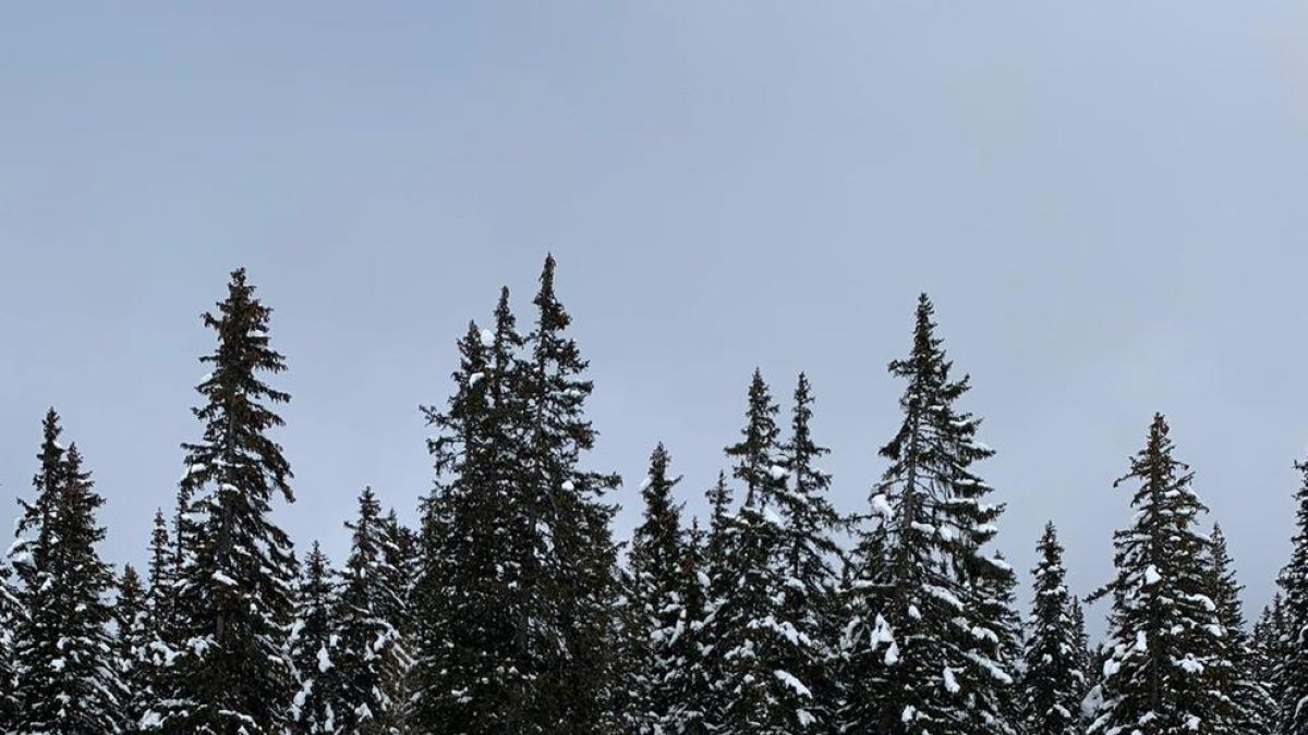 Podi de Maeva Estevez a la Copa d'Europa de Valmalenco