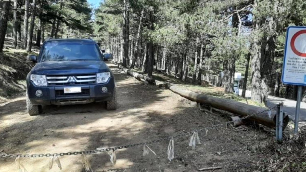 Destrosses de cotxes andorrans al Parc 
de l'Alt Pirineu