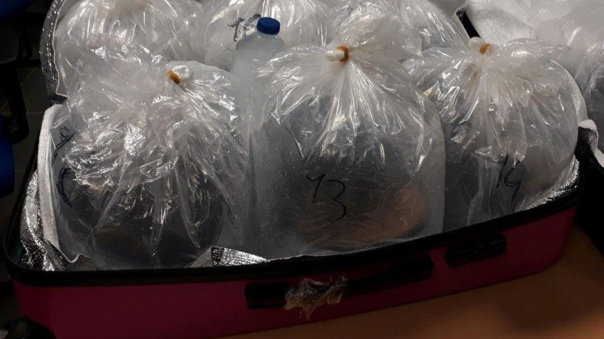 Cinc anys de presó pel tràfic d'angules a través d'Andorra