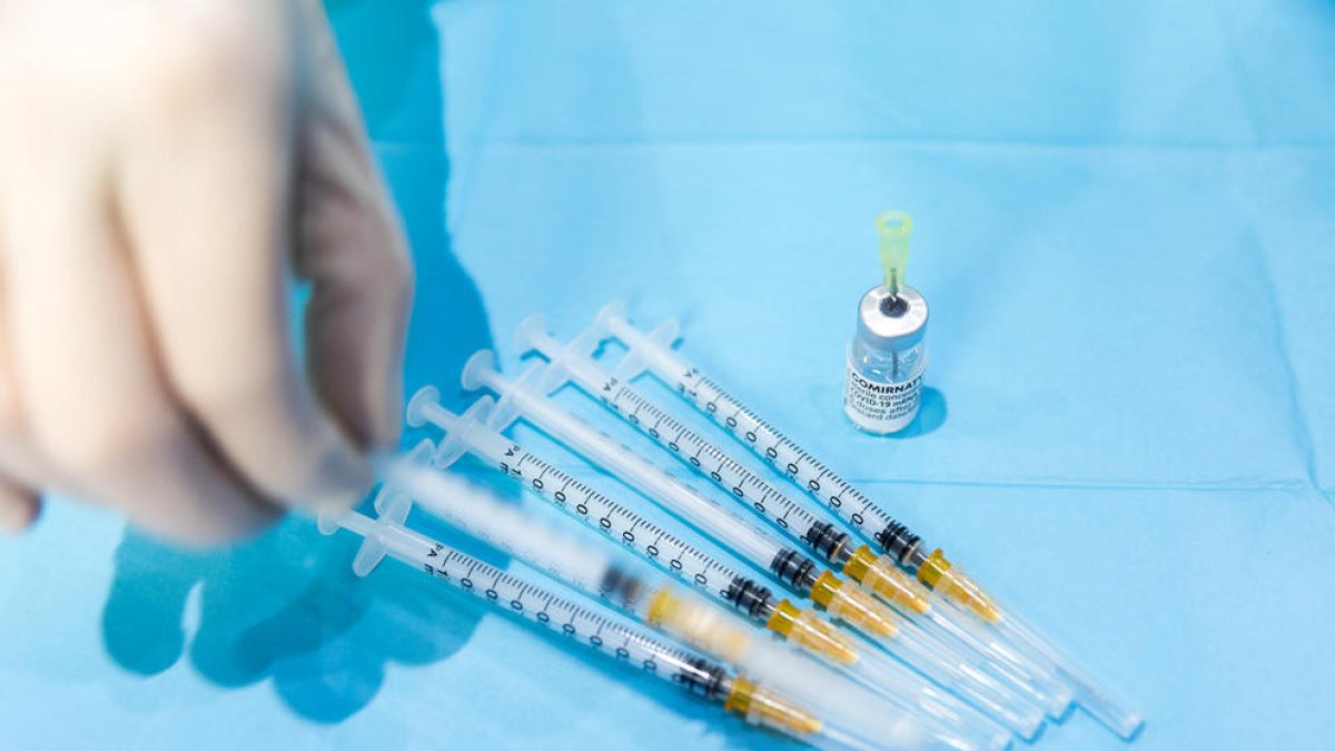 Govern entrega un certificat de vacunació en quatre idiomes