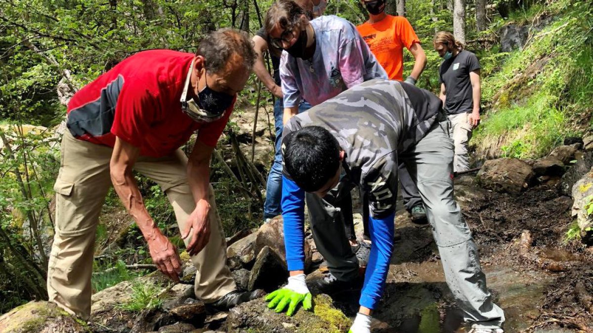 Sis joves massanencs es formen en pedra seca