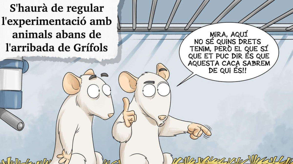 Planellades