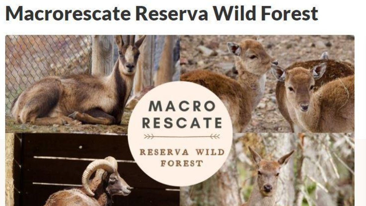 Imatge de la recollida de fons per als animals de Naturlandia