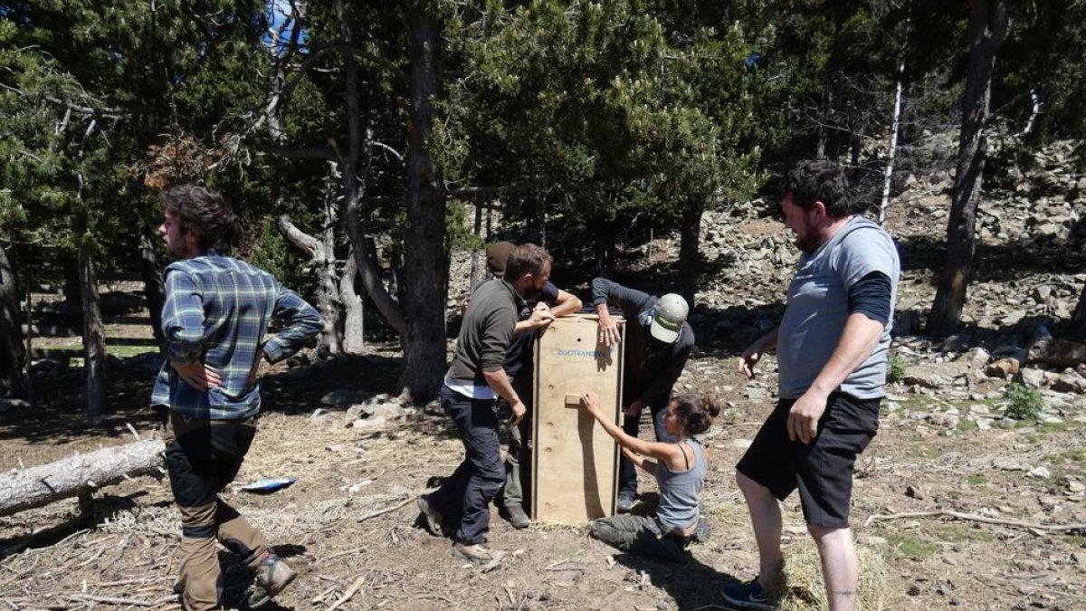 Naturlandia trasllada deu exemplars
