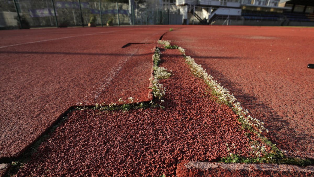 La Federació d'Atletisme no amaga la preocupació per l'estat del tartan del Comunal