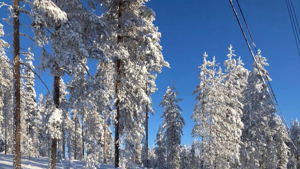 Irineu Esteve i Carola Vila apugen el teló d'Oberstdorf