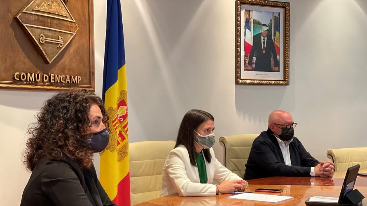 L'acte d'entrega del guardó s'ha fet en format virtual per motius sanitaris a través d'una connexió telemàtica