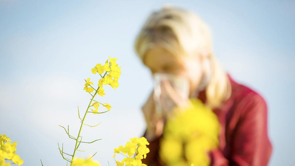 Compte amb les al·lèrgies