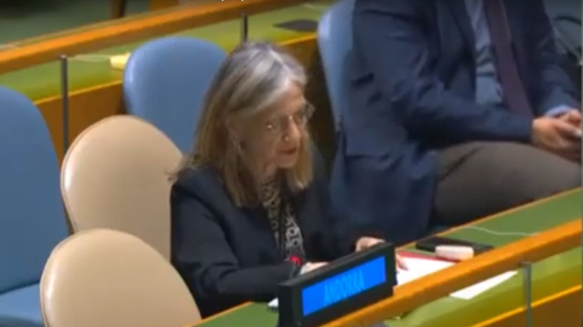 Elisenda Vives durant la seva intervenció a l'ONU