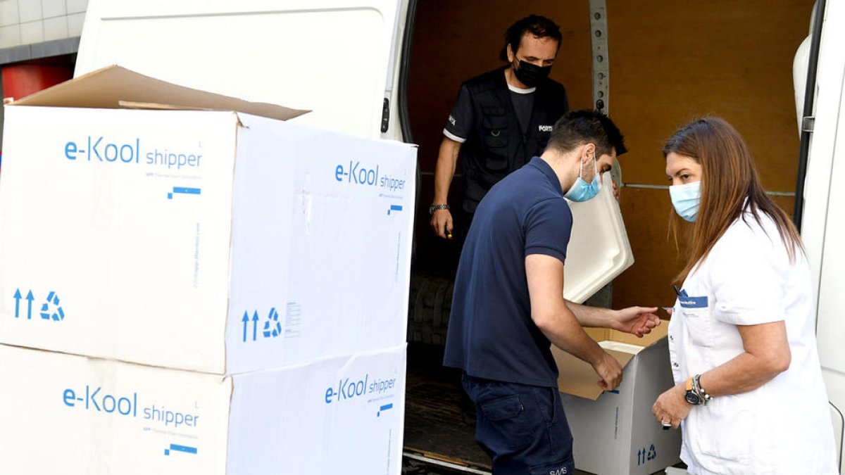 Arriben 15.000 vacunes des de portugal