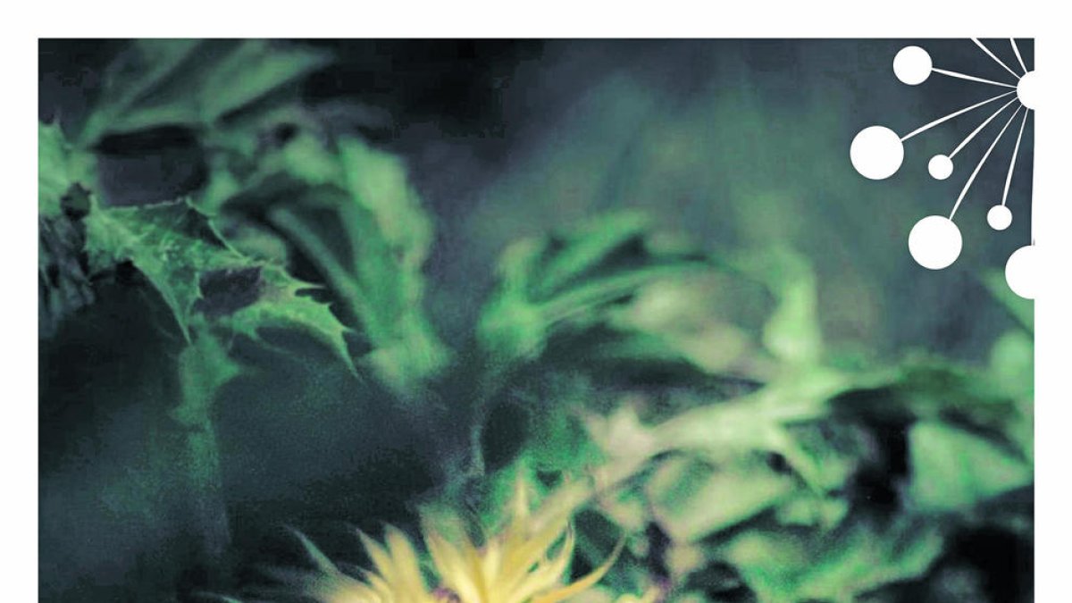 Exposicions itinerants Floralab