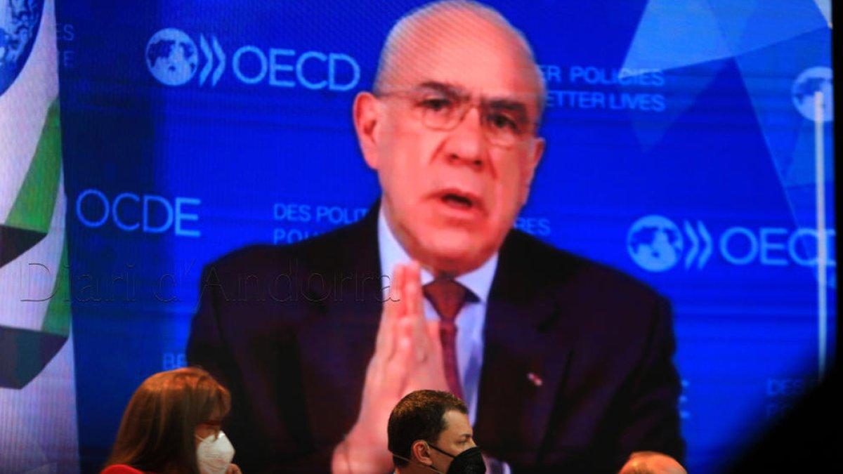 El ministre Gallardo escoltant Ángel Gurría