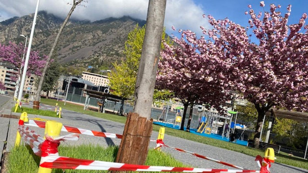 Escaldes canvia part de la gespa artificial instal·lada