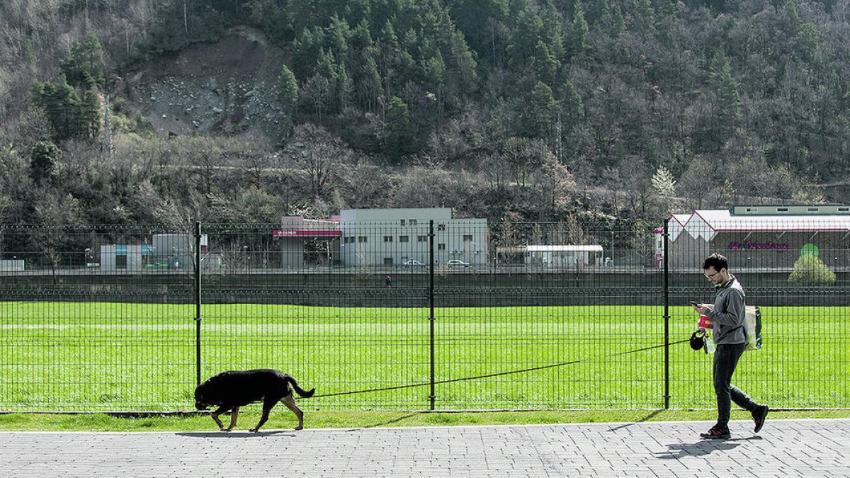 Revolta contra l'ADN caní