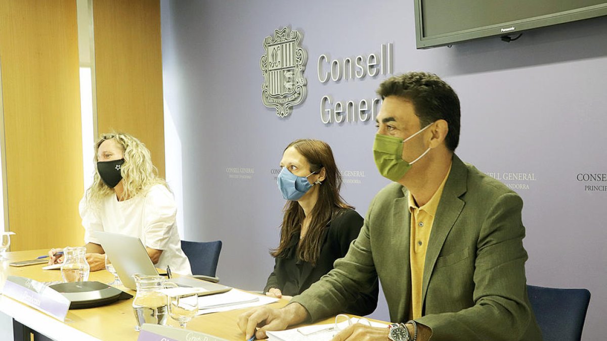 Els grups de la majoria aposten per recuperar la figura del sometent