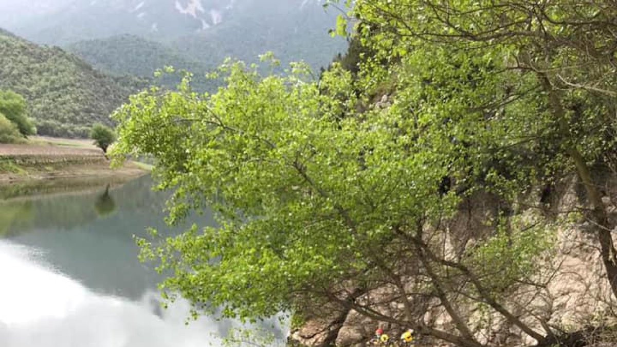 Dos ferits en un accident de trànsit a la C-44, al terme de Coll de Nargó