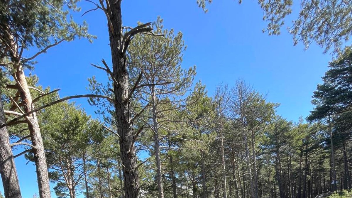 Naturlandia obrirà els caps de setmana de maig i juny