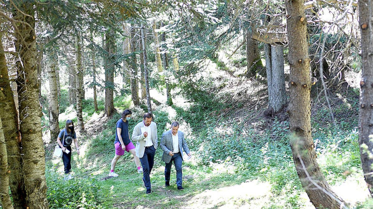 El bosc del 'mindfulness'