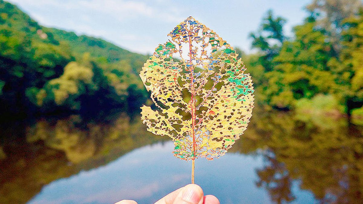 Quarta biennal internacional Andorra l'Andart 21