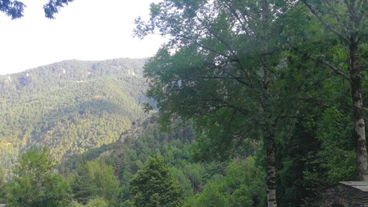 Finalitzades les tasques de neteja a Bixessarri