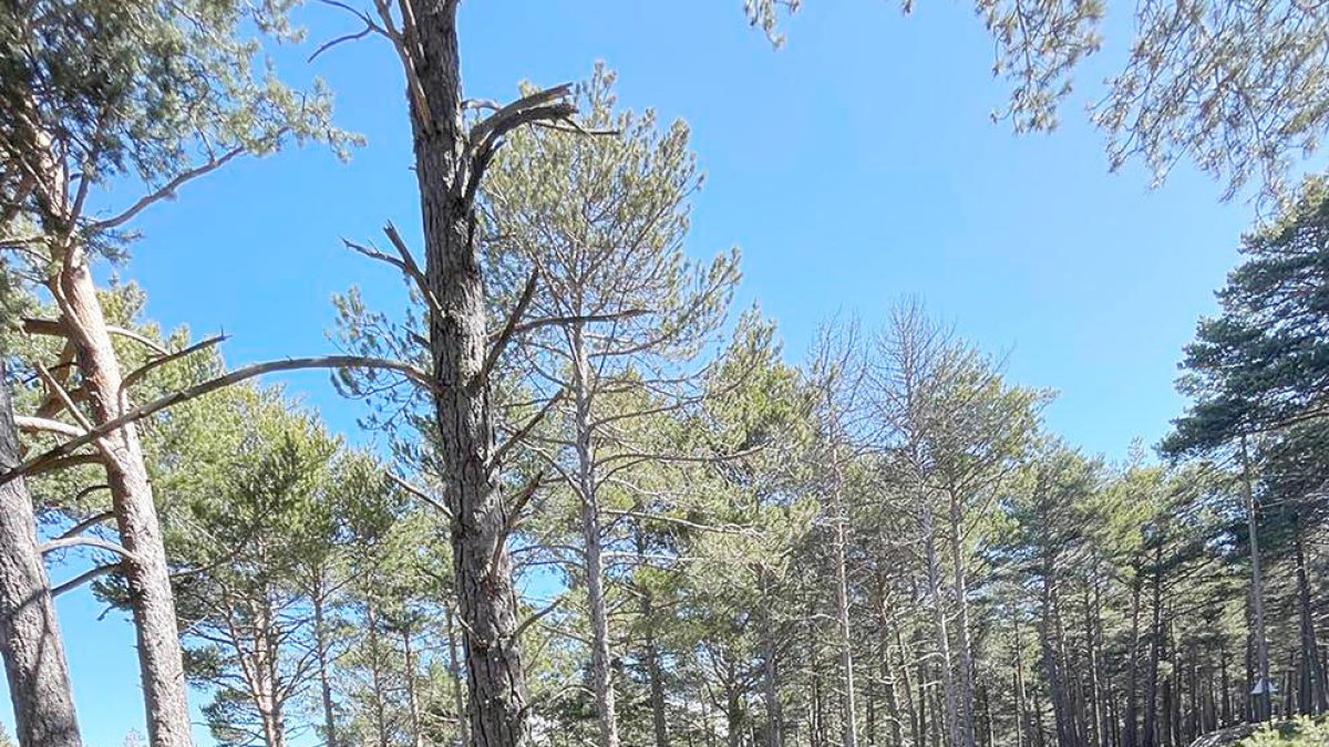 La Mútua pateix la caiguda de les accions de Naturland