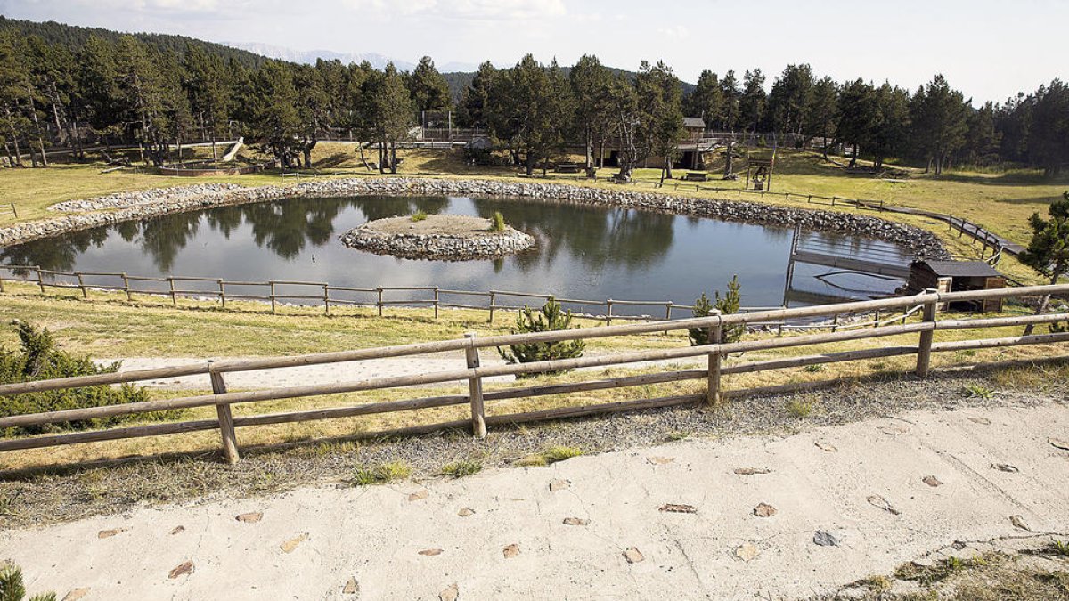 Bassa a la zona de la Rabassa.