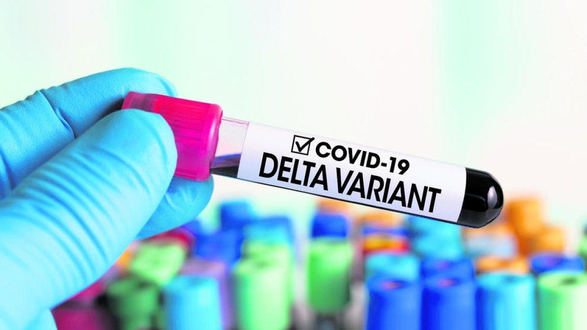 Tocats per la variant Delta