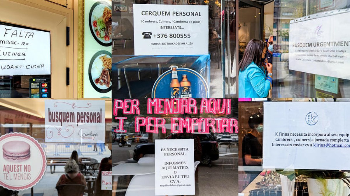 Diversos cartells de negocis que cerquen personal, fotografiats ahir.