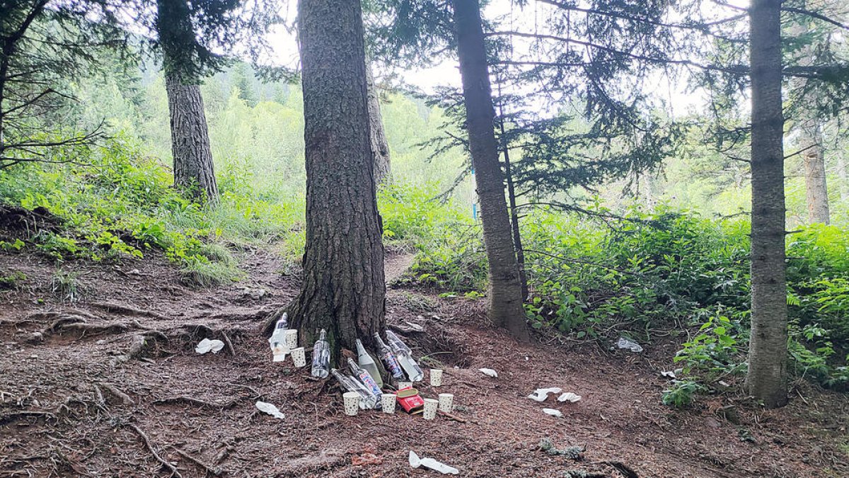 Denuncien incivisme al berenador d'Ordino