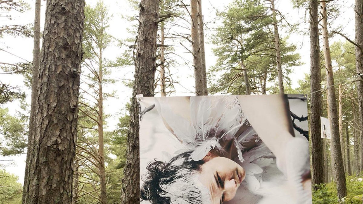 Quarta biennal internacional Andorra l 'Andart 21