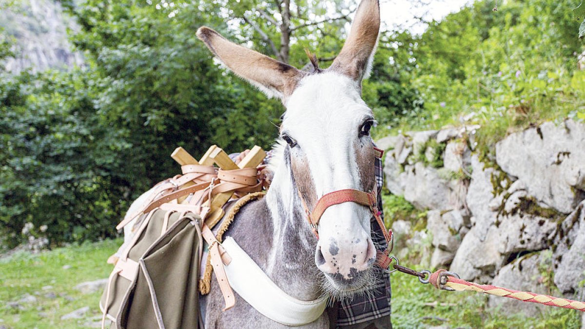 Un dels rucs que acompanyarà els participants en les noves rutes.