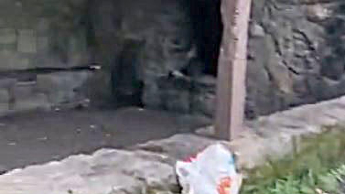 Captura del vídeo.
