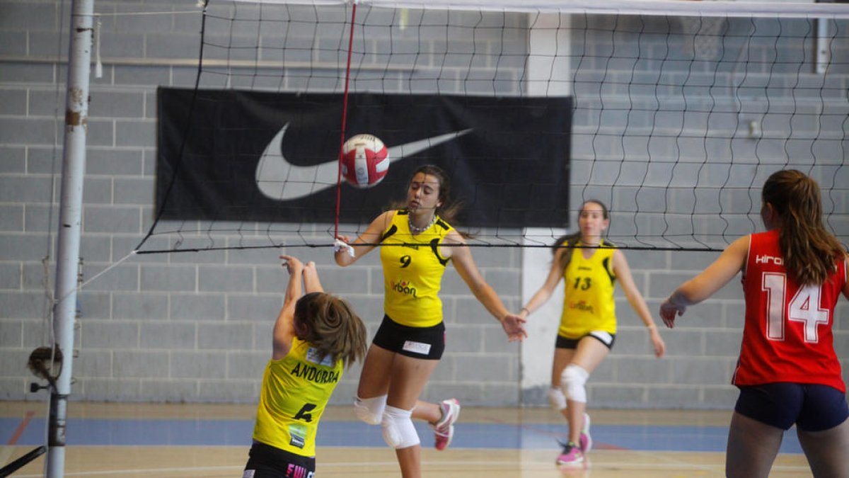 El TIM Vòlei reapareix amb el rècord de 112 equips inscrits