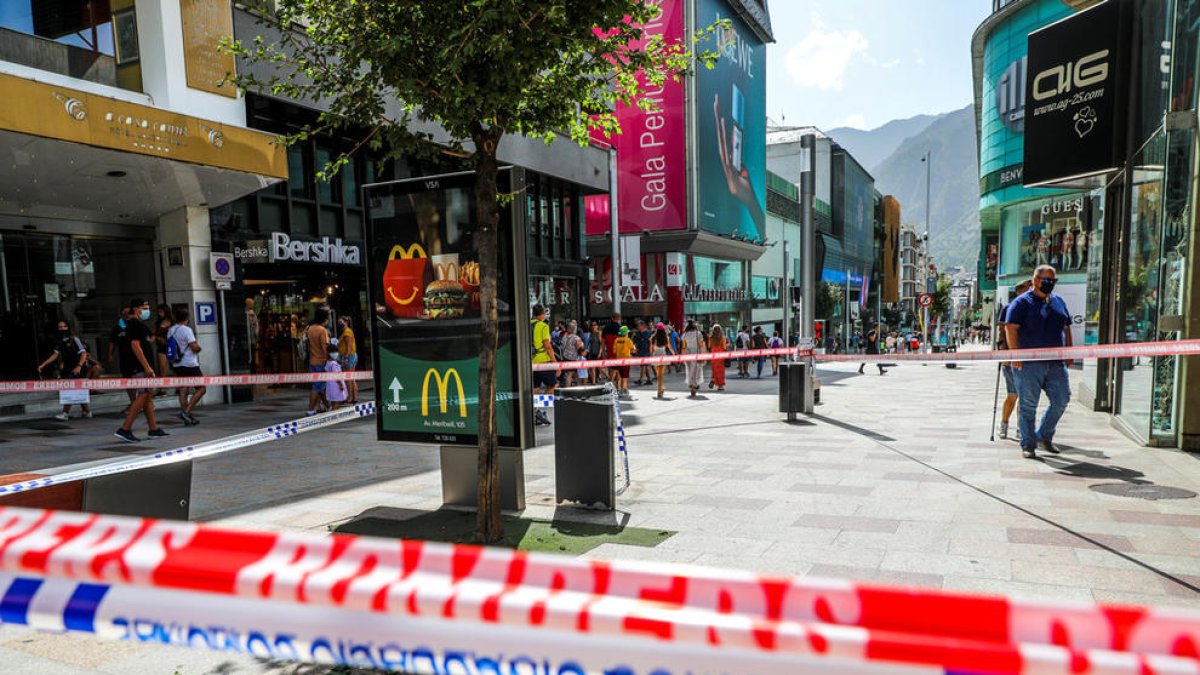 Alerta per abelles a Carlemany