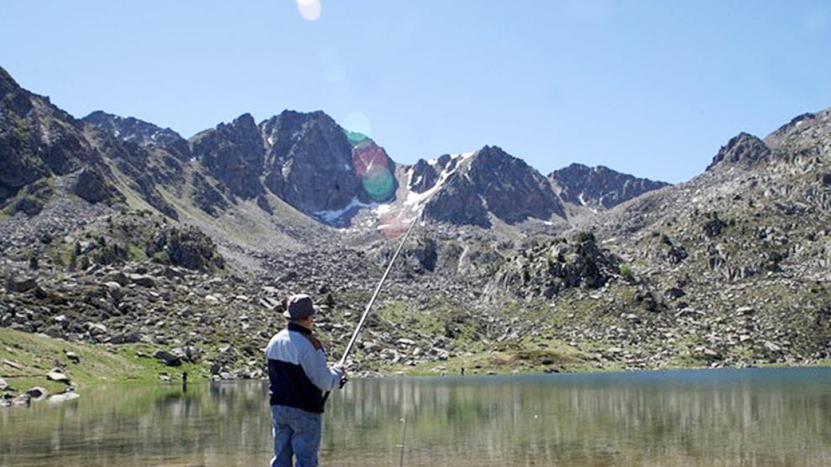 Sense peixos ni concurs