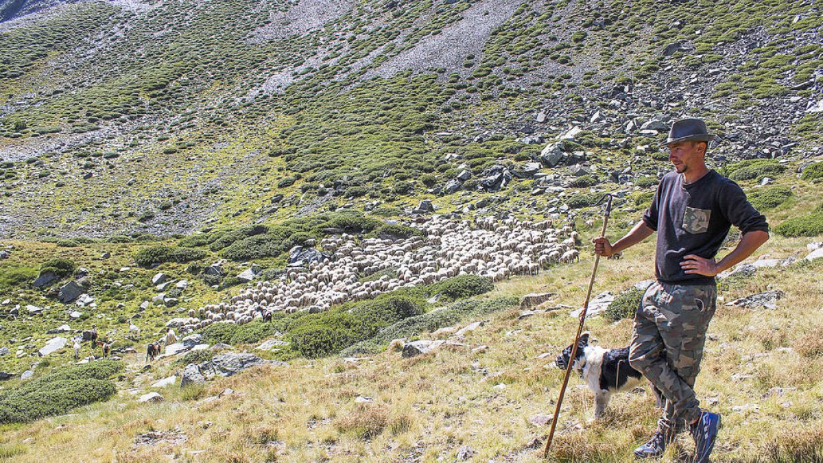 El pastor Santi Plata, el seu gos i el ramat d'ovelles i cabres que peix al Comapedrosa.