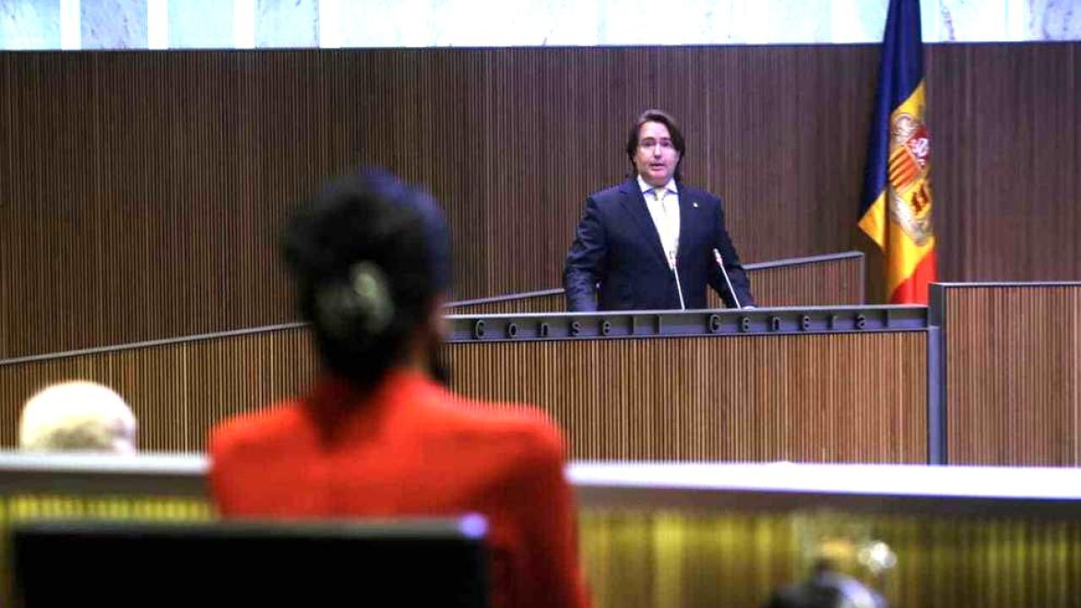 Carles Naudi aquest matí al Consell