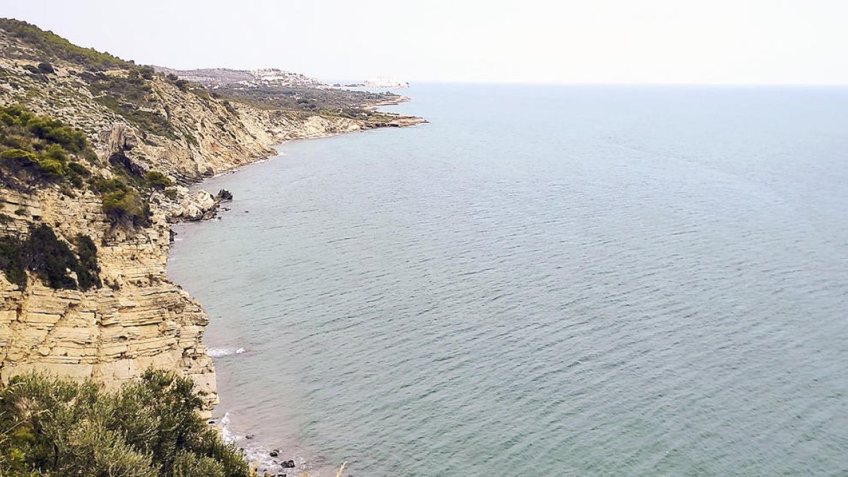 A 8 quilòmetres de la multitud