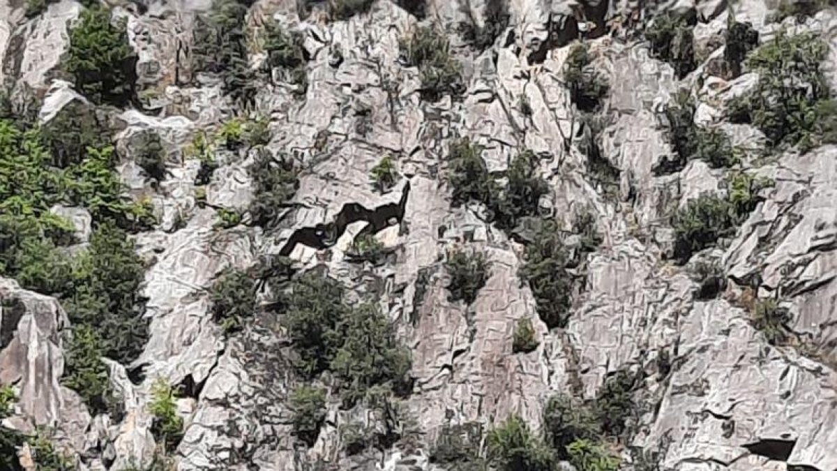 La zona del despreniment a Santa Coloma.