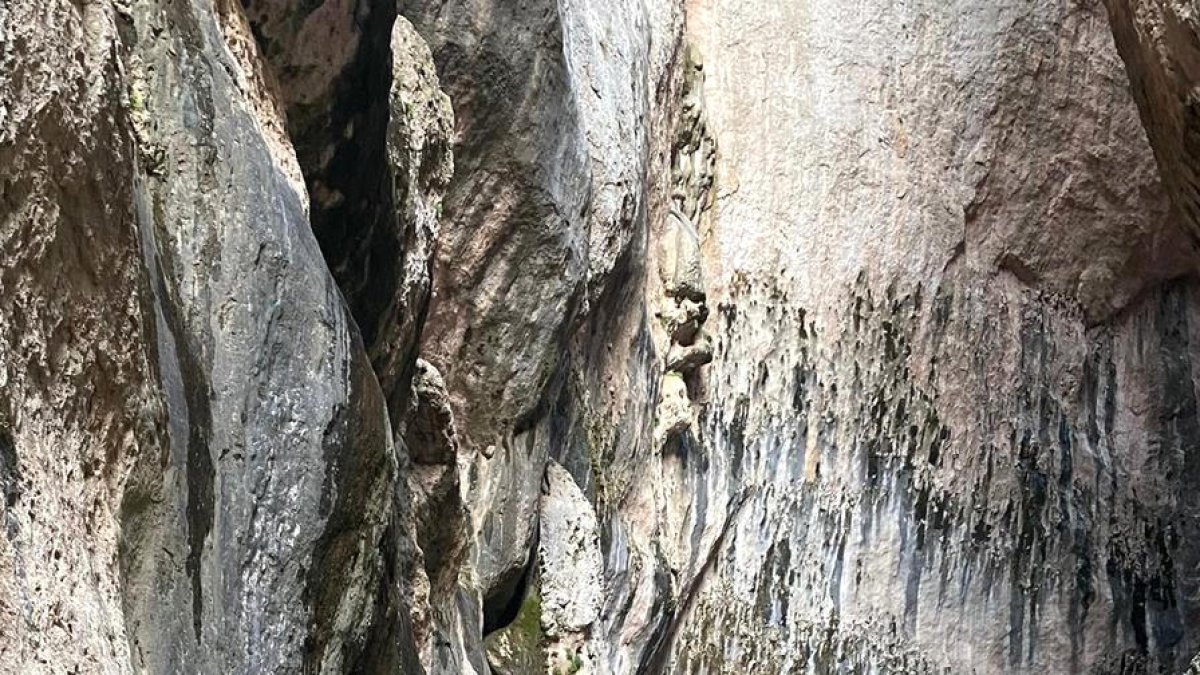 Allà on s'estreteix el riu