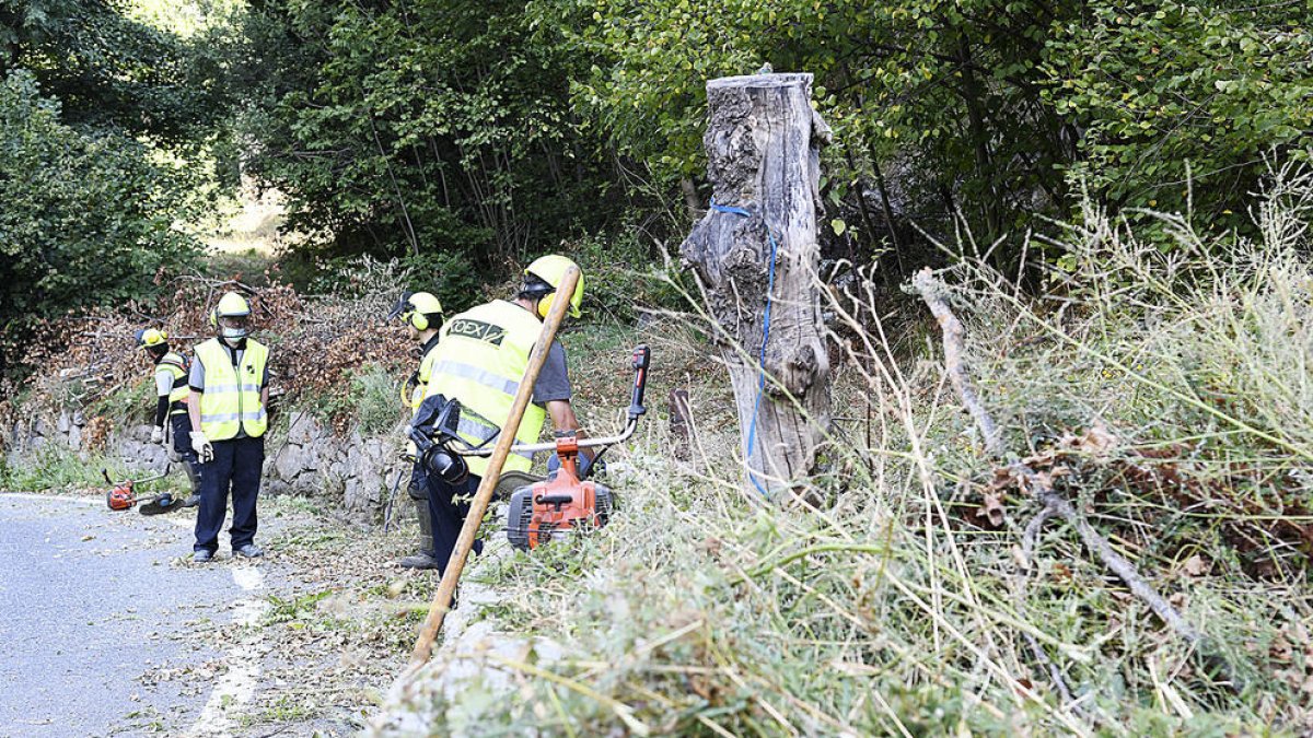 Neteja de més de 6.000 quilòmetres de carretera
