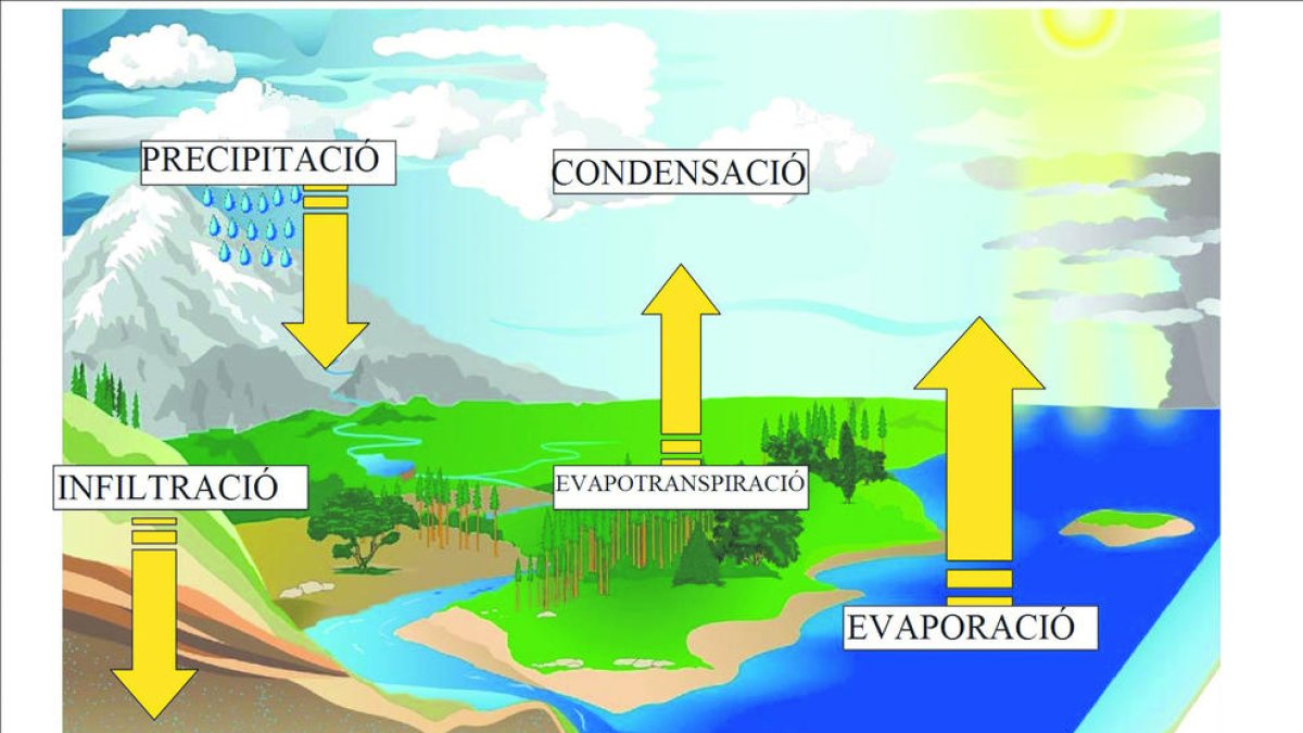 Experimenta amb el cicle de l'aigua