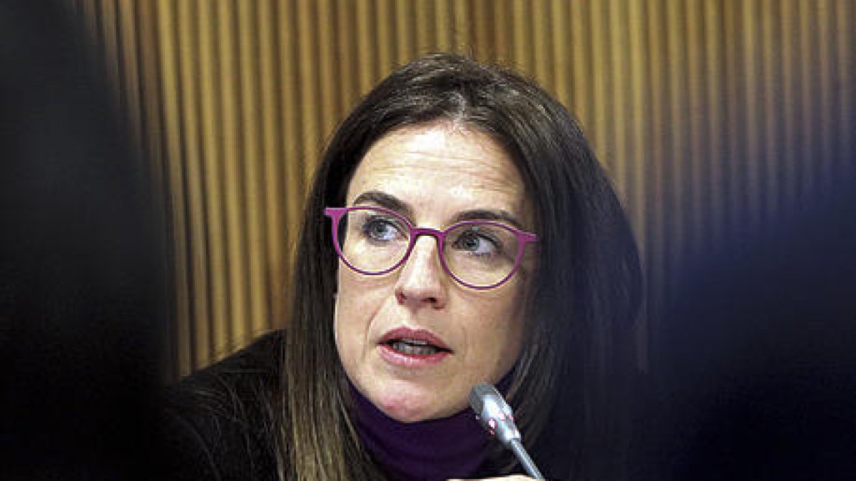 Sílvia Riva, en una compareixença al Consell General.