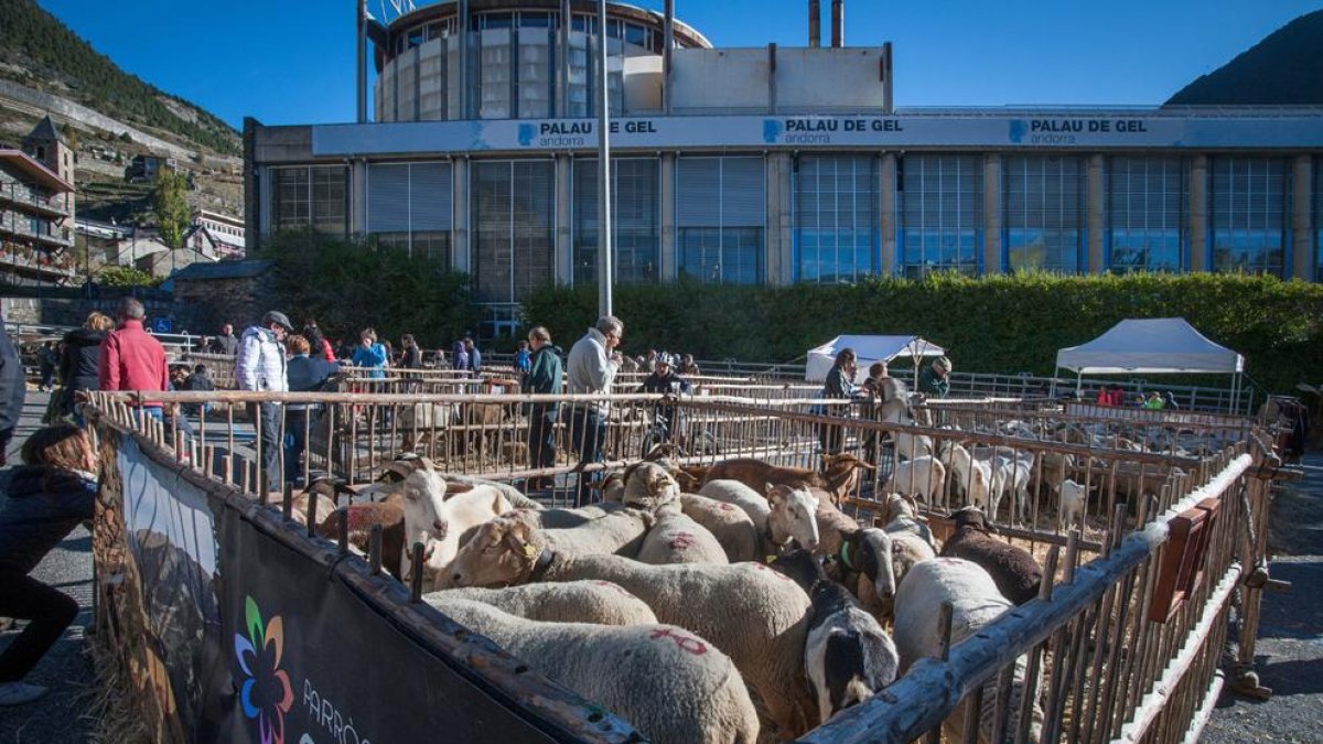 La Fira del Bestiar es va celebrar per últim cop fa dos anys