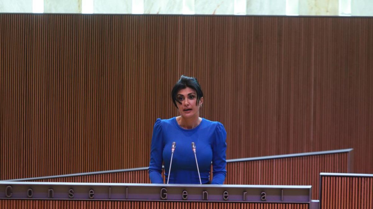 Carine Montaner al Consell General